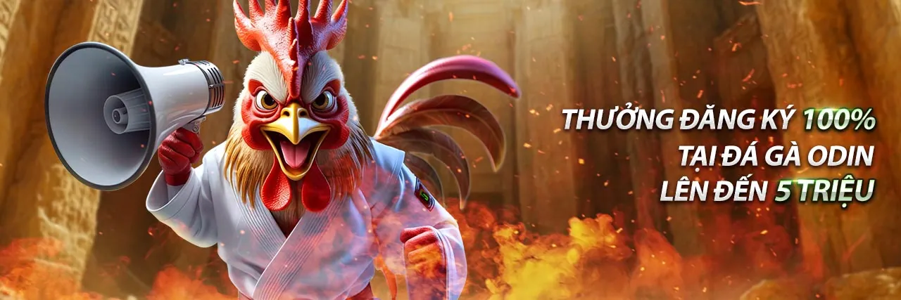 Quản lý tài khoản cá nhân 24/7